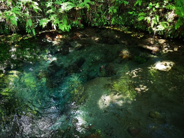 湧き水 流水