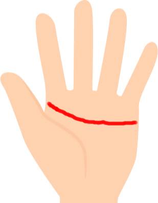 手のひらの端まで伸びる長い感情線